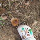 비학농원 이미지