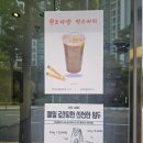 피렌체 오피스텔 | [해운대 중동 로컬 커피맛집] 라디페 해운대점. 구수한 커피맛이 일품. 나만의 숨은 아지터