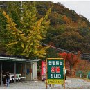 상덕낚시터 이미지