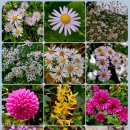 상천1리 마을회관 이미지