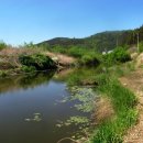 모곡낚시터 이미지