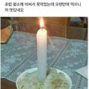 옥정가든 - 장성군 | 옥정가든