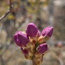 우면산3-20 이미지