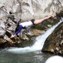 한마음(125) 이미지