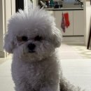 정창수외과동물병원 이미지