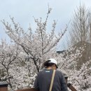 콰스타커피정선아라리점 이미지