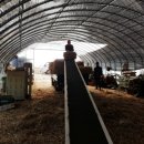 볏짚농장 이미지