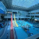 용인대 리더 태권도 이미지