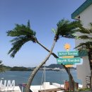 슈가브리움 이미지