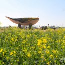 인천공항공사 “유채꽃 보러 인천공항 오세요” 하늘정원 무료 개방 이미지