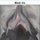 책 읽어주세요 1기 이미지