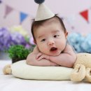 엘리스튜디오