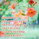 선비와 산중의 미녀 이미지