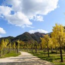 지장천로 이미지