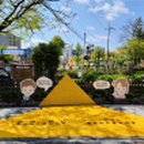 주정차단속-48 이미지