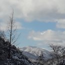 동해바다 1 이미지