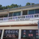 대영민물고기 이미지