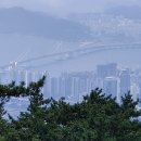 장산제일약수터 이미지