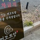 머꼬또양 이미지