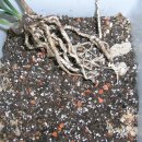 정모소프트 이미지