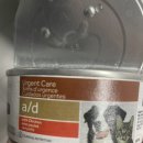 진해동물의료센터 이미지