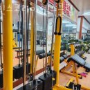 아인스 코리아 헬스클럽 이미지