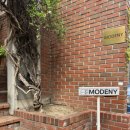 서초대로 141-25 이미지