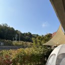 세이스테이 이미지