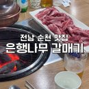 은행나무갈매기 | 전남 순천 맛집 [은행나무 갈매기] 소갈비살 참숯구이 전문점 내돈내산 후기/ 순천여행/ 서이추환영