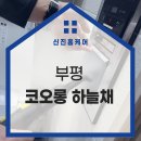 부흥초교_서 | 부평 코오롱하늘채 입주청소&amp;줄눈시공 후기! (신진홈케어, 홍클린)