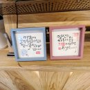 별꽃자리