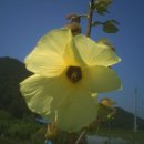 돌쇠농장 이미지