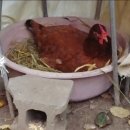 성계자동차 이미지