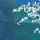 파마머리 이미지