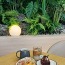 동건스애견카페 | 영종도 대형 카페 그리너리바스켓 하늘도시 근처 애견동반 카페