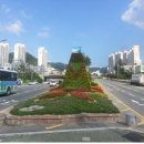 도시환경 이미지