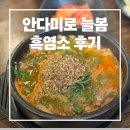 제주늘봄 | 제주 흑염소 맛집 | 안다미로 늘봄 흑염소 보양식 후기, 제주공항 근처 해장국 추천