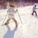스키의 계절입니다. 딸랑구들 스키타는 동영상...*^^* 이미지
