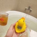 바스광명점 이미지