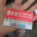 [태안 백사장항] 백사장 수산시장 현수산 :: 씨앗 젓갈, 반건조 열기, 박대 내돈내산 구매 후기