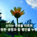 평안 Daum카페