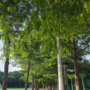 금정체육공원_축구장 이미지