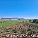 고산엉알 이미지