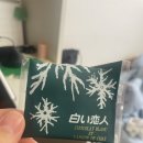 몽귤몽귤농원 이미지