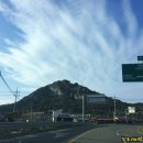 신동습지 이미지