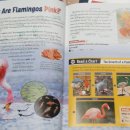 상남동240 이미지