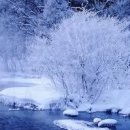 생활속에서 배우는 여행영어 이미지