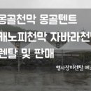 에스엔티 이미지