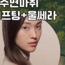 대주사 이미지