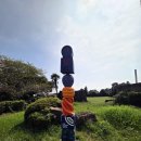 신흥동백나무군락 이미지